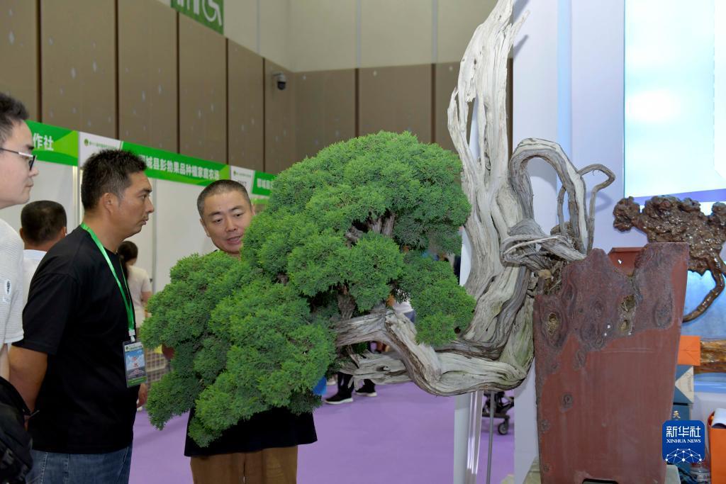 大奖网票官方网站